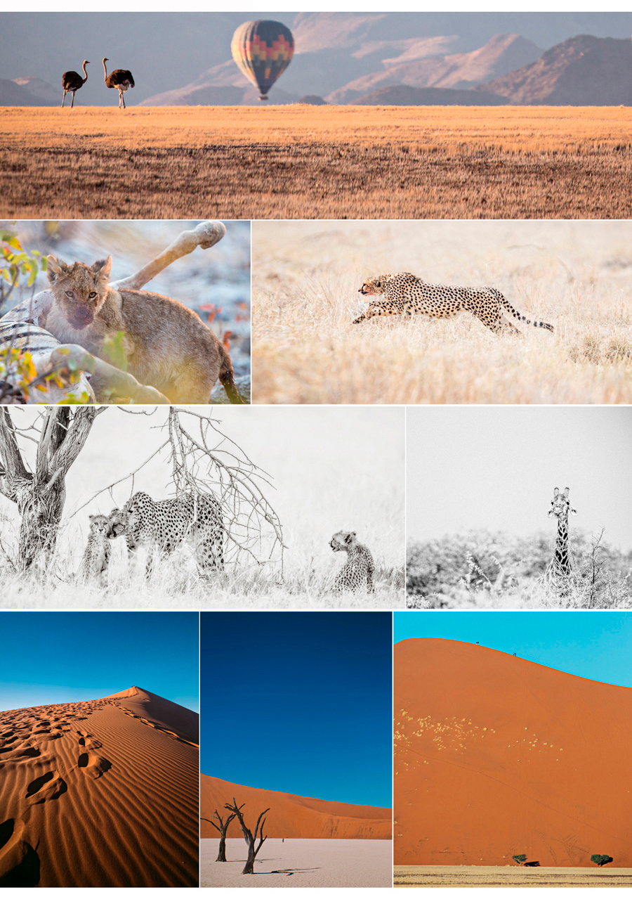 Sand dunes and dead camelthorn trees at Deadvlei, Sossusvlei, Namibia